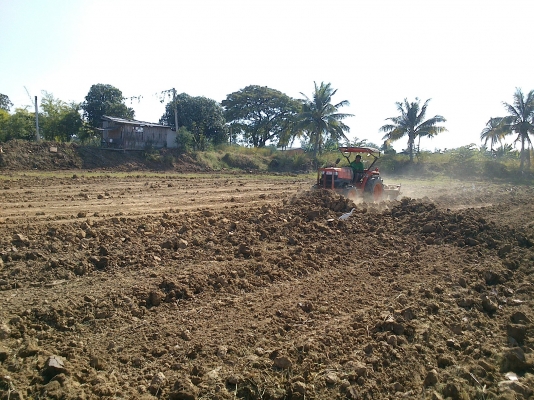 ขาย คูโบต้า 45 di สภาพเดิม สีเดิมไม่เคยลงนานํ้า  ลพบุรีครับ