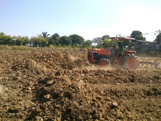 ขาย คูโบต้า 45 di สภาพเดิม สีเดิมไม่เคยลงนานํ้า  ลพบุรีครับ