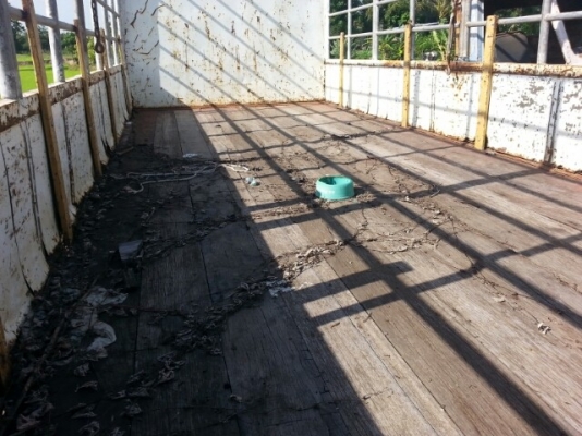 ขายกระบะพร้อมข้างเสริม ยกลงจากร็อกกี้ ยาว5.80เมตร สภาพสวยพร้อมใช้งาน