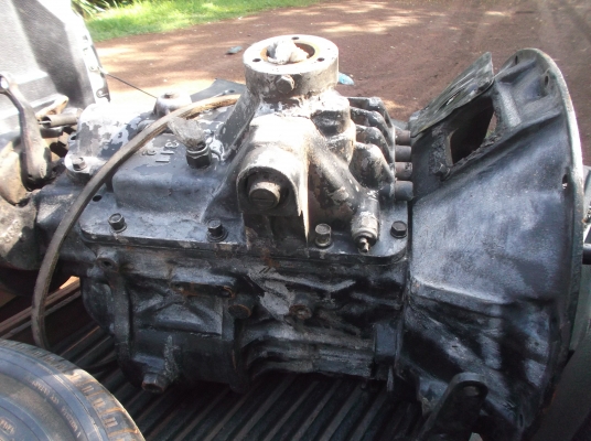 ขายเกียร์ ร็อคเสื้อลาย