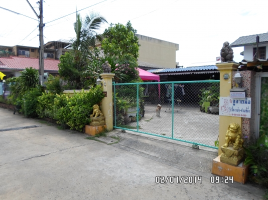 ขายบ้านเดี่ยว 2 ห้องนอน 2 ห้องน้ำ 1 ออฟฟิต 1 ครัว 1 ห้องพระ สระน้ำขนาดเล็ก โรง รถจอกได้หลายคัน ขายบ้านเดี่ยว 2 ห้องนอน 2 ห้องน้ำ 1 ออฟฟิต 1 ครัว 1 ห้องพระ สระน้ำขนาดเล็ก โรง รถจอกได้หลายคัน
