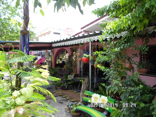 ขายบ้านเดี่ยว 2 ห้องนอน 2 ห้องน้ำ 1 ออฟฟิต 1 ครัว 1 ห้องพระ สระน้ำขนาดเล็ก โรง รถจอกได้หลายคัน ขายบ้านเดี่ยว 2 ห้องนอน 2 ห้องน้ำ 1 ออฟฟิต 1 ครัว 1 ห้องพระ สระน้ำขนาดเล็ก โรง รถจอกได้หลายคัน