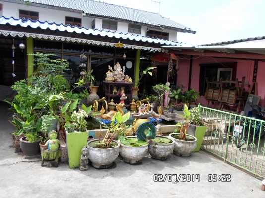 ขายบ้านเดี่ยว 2 ห้องนอน 2 ห้องน้ำ 1 ออฟฟิต 1 ครัว 1 ห้องพระ สระน้ำขนาดเล็ก โรง รถจอกได้หลายคัน ขายบ้านเดี่ยว 2 ห้องนอน 2 ห้องน้ำ 1 ออฟฟิต 1 ครัว 1 ห้องพระ สระน้ำขนาดเล็ก โรง รถจอกได้หลายคัน