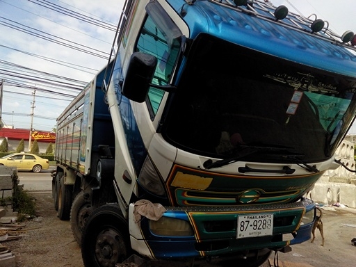 ขายฮีโน่แม่ลูกราคาถูกหน้า2คลานลูก3คลาน ขายฮีโน่แม่ลูกราคาถูกหน้า2คลานลูก3คลาน