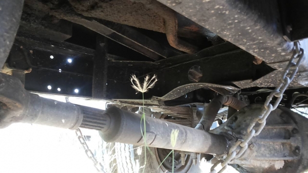 ***ขายแล้วครับขอบคุณ Truck2hand ขาย6ล้อดั๊มดินสวยๆ ISUZU 115 ห้างแท้ตัวแรกปี33 (คัสซี7xxx) เกียร์ยาว เครื่อง4BD1 115เครื่องดี แน่นแรง ช่วงล่างFหลัง หน้า6น็อต คัสซีดีสวยไม่ปะไม่ดาม กระบะดั๊มเหล็ก3.60ม.สภาพสวยพื้นสวยข้างสวย ดั๊มยิงหลัง หัวเก๋งสวยภายในดีคอนโ ***ขายแล้วครับขอบคุณ Truck2hand ขาย6ล้อดั๊มดินสวยๆ ISUZU 115 ห้างแท้ตัวแรกปี33 (คัสซี7xxx) เกียร์ยาว เครื่อง4BD1 115เครื่องดี แน่นแรง ช่วงล่างFหลัง หน้า6น็อต คัสซีดีสวยไม่ปะไม่ดาม กระบะดั๊มเหล็ก3.60ม.สภาพสวยพื้นสวยข้างสวย ดั๊มยิงหลัง หัวเก๋งสวยภายในดีคอนโ