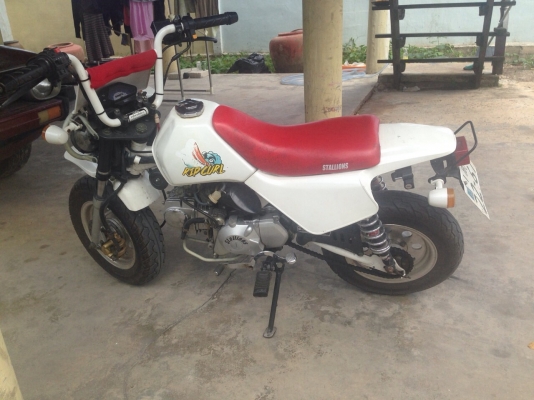 ขายวิบากน้อย