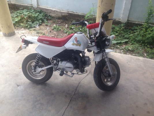 ขายวิบากน้อย