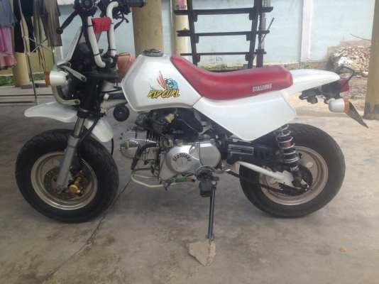 ขายวิบากน้อย