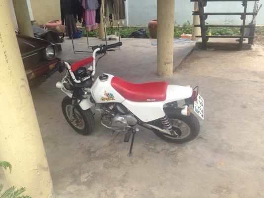 ขายวิบากน้อย