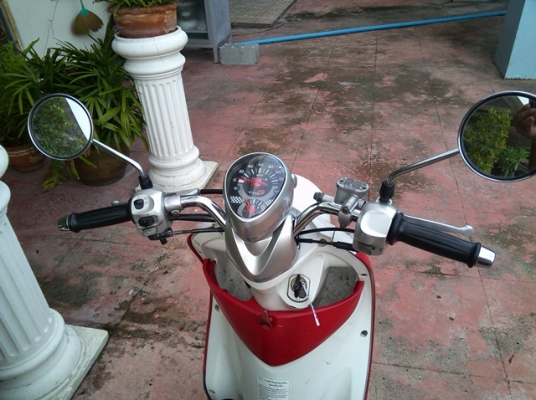 Fino ปี51 แดง
