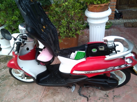 Fino ปี51 แดง