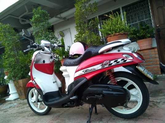 Fino ปี51 แดง