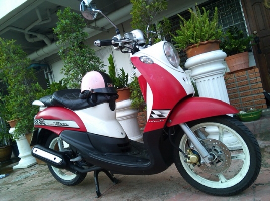 Fino ปี51 แดง