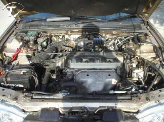 ขาย ACCORD ตาเพชร เครื่องวีเทค ติดแก๊สหัวฉีด 65000 ขาย ACCORD ตาเพชร เครื่องวีเทค ติดแก๊สหัวฉีด 65000