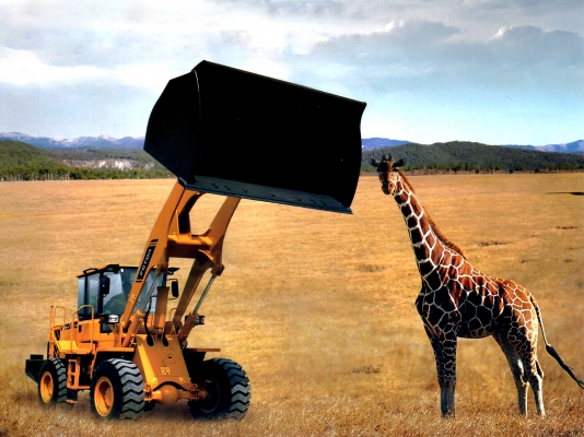 ขายรถตักล้อยาง FOTON รุ่น FL936F-II