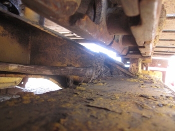 รถขุดสวยๆมาแล้วครับ - รถขุด แบคโฮ KOMATSU PC30-5 มือสองญี่ปุ่น เครื่อง 3 สูบ