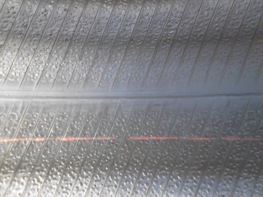 205/55R16 GOODYEAR EAGLE NCT5 มี 2 เส้น โทร.081-427-3941 205/55R16 GOODYEAR EAGLE NCT5 มี 2 เส้น โทร.081-427-3941