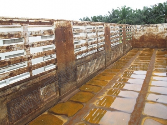 ขายเหมายกชุด ** หางพ่วงเทเลอร์ 3 เพลkคอก **