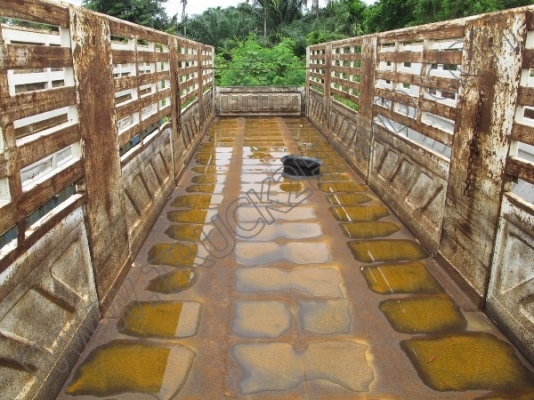 ขายเหมายกชุด ** หางพ่วงเทเลอร์ 3 เพลkคอก **