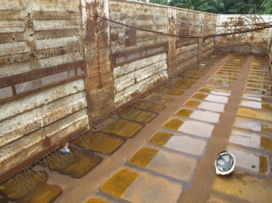 ขายเหมายกชุด ** หางพ่วงเทเลอร์ 3 เพลkคอก **