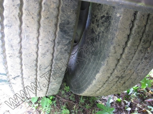 ขายเหมายกชุด ** หางพ่วงเทเลอร์ 3 เพลkคอก **