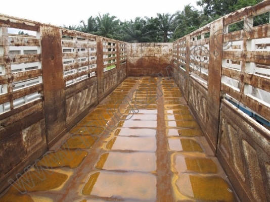 ขายเหมายกชุด ** หางพ่วงเทเลอร์ 3 เพลkคอก **