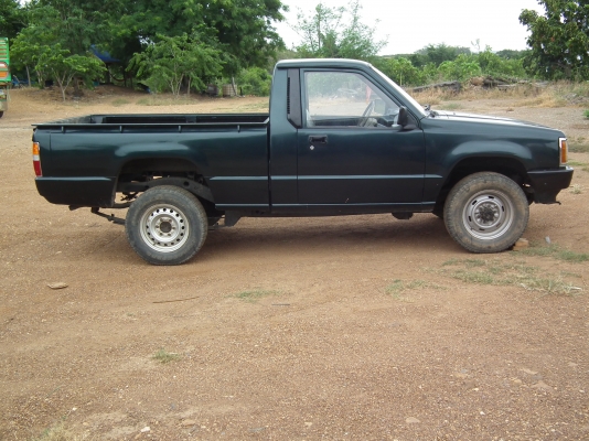 ขายโฟวิน 4 ขอ โฟแท้ตั้งแต่เกิด ตัวประกอบนอก ขายโฟวิน 4 ขอ โฟแท้ตั้งแต่เกิด ตัวประกอบนอก