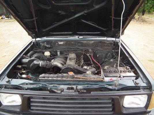 ขายโฟวิน 4 ขอ โฟแท้ตั้งแต่เกิด ตัวประกอบนอก ขายโฟวิน 4 ขอ โฟแท้ตั้งแต่เกิด ตัวประกอบนอก