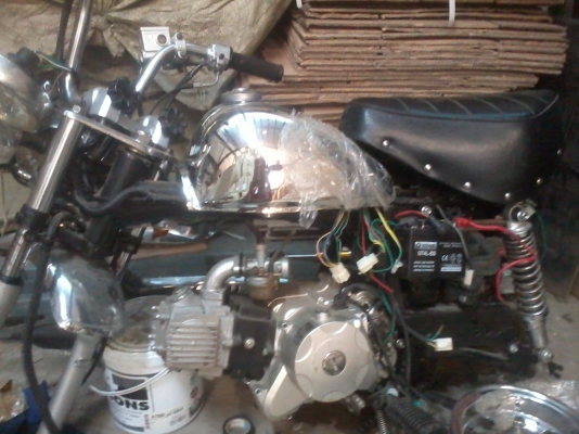 ซากมังกี้