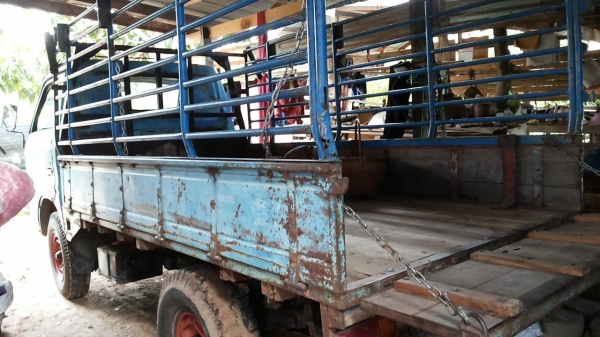 **118,000 บ.ต่อรอง**ขาย4ล้อกลาง ISUZU Elf 75แรง เครื่องเดิมเกียร์เดิม เครื่องแรงดี แน่นดี สตาร์ทติดง่ายไม่เยิ้ม ช่วงล่างดี เฟืองท้ายใหญ่ เพลาลอยแล้ว คัสซีสวยเดิมไม่ปะไม่ดาม กระบะพื้นไม้คอกเหล็ก3.20ม.สภาพสวย ฝาทึบสวยบางเดิมๆ พื้นไม้สวยไม่มีผุ คอกเหล็กแข็งแ