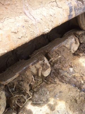 รถแบค SUMSUNG 210 รถสวยเต็ม ใช้งานดี มีทะเบียน