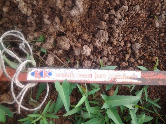 KUBOTA หาง3 KK ถอดจาก 3408คับ KUBOTA หาง3 KK ถอดจาก 3408คับ