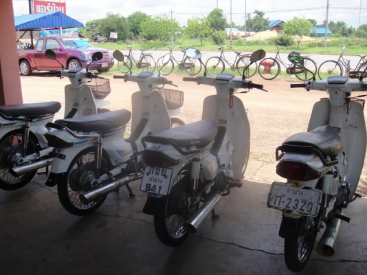 ขายฮอนด้าดรีม คุรุสภา สภาพเดิมสวยพร้อมใช้ ( ทะเบียนพร้อมชุดโอน )