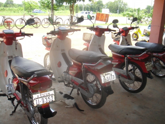 ขายฮอนด้าดรีม คุรุสภา สภาพเดิมสวยพร้อมใช้ ( ทะเบียนพร้อมชุดโอน )