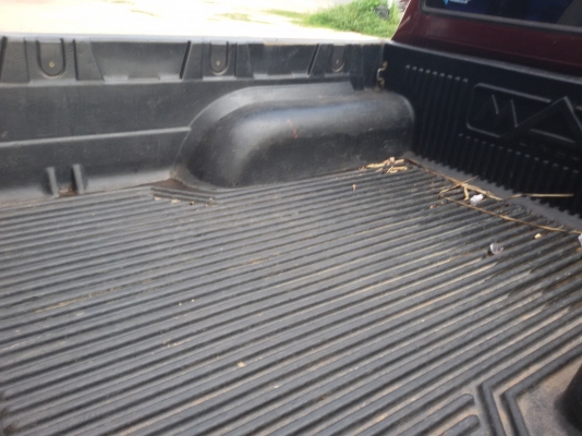 ไทเกอร์ โฟวิน 210000 ไทเกอร์ โฟวิน 210000