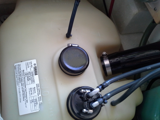 ปลาโอมาใหม่ครับ