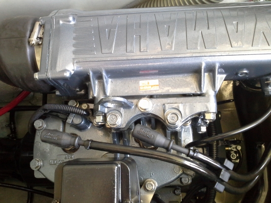 ปลาโอมาใหม่ครับ