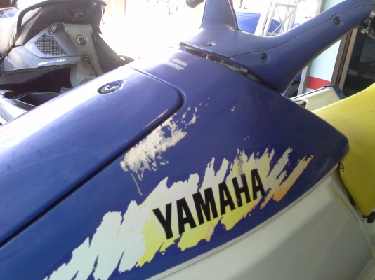 ปลาโอมาใหม่ครับ