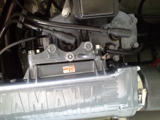 ปลาโอมาใหม่ครับ