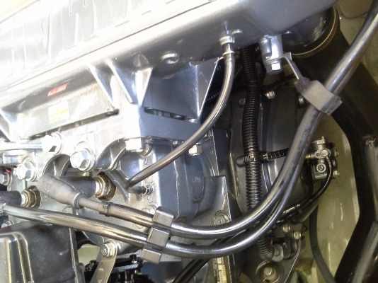 ปลาโอมาใหม่ครับ