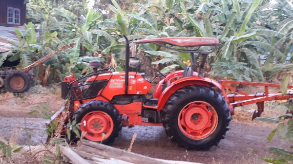 ขาย ผาน3โครง4ใบ 26  คราช้าง  33000  มี 10 พวง  ครับ