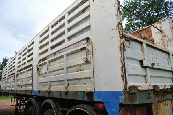 หางคอกสามเพลา    ขายย่อมเยาว์  350,000  บาทค่ะ