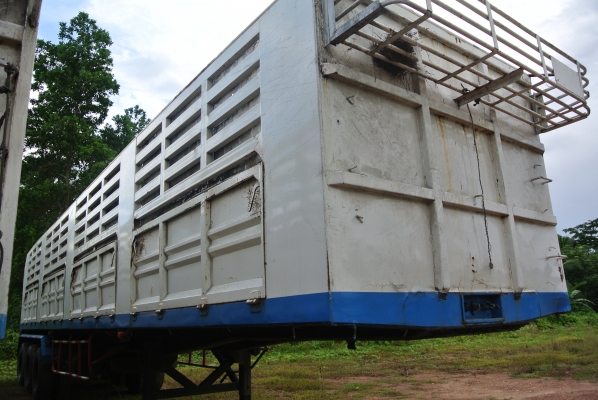 NST หางสามเพลาไม่ดั้ม  ขายย่อมเยาว์  350,000  บาทค่ะ