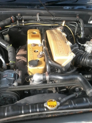 cameo มังกรทอง สวยๆ 150000