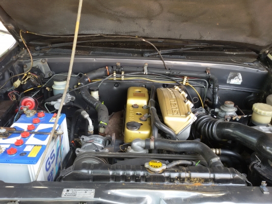 cameo มังกรทอง สวยๆ 150000