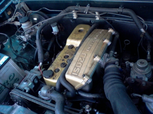 มังกรทอง แคป สภาพเยี่ยม มังกรทอง แคป สภาพเยี่ยม