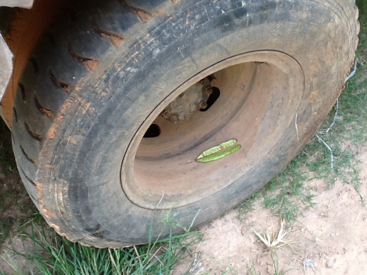 มาแล้วครับของฝากนักปั้น NPR59P เครื่อง4BDI 115 HP เครื่องไม่โดนทะเบียนเต็มเอกสารพร้อมโอน