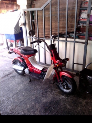 ขายชาลีออโต ขายชาลีออโต