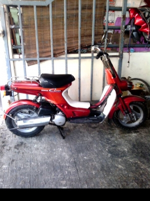 ขายชาลีออโต ขายชาลีออโต