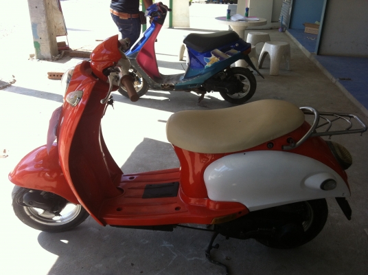 Yamaha ป๊อป vino